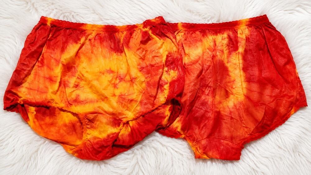 Carole Silky Nylon Full Cut Brief Panty Lot of 2 Rainbow Edge Lace Trim Size 12